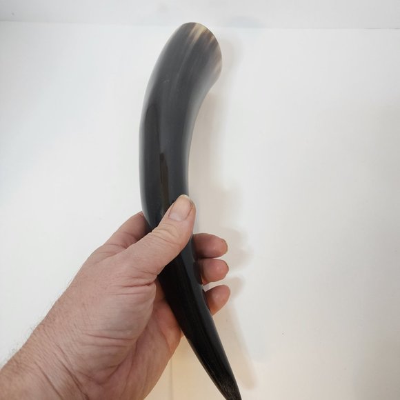 Water Buffalo Horn average 12-15 inch - Picture 4 of 11